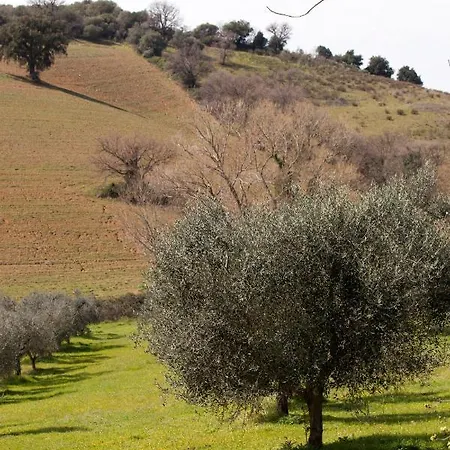 La Fondona * Campagnatico
