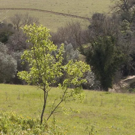 La Fondona Campagnatico